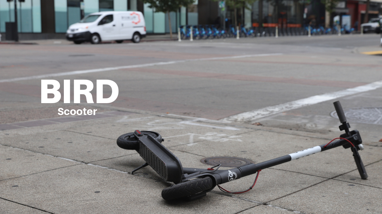 The Bird Scooters in Winston-Salem, NC