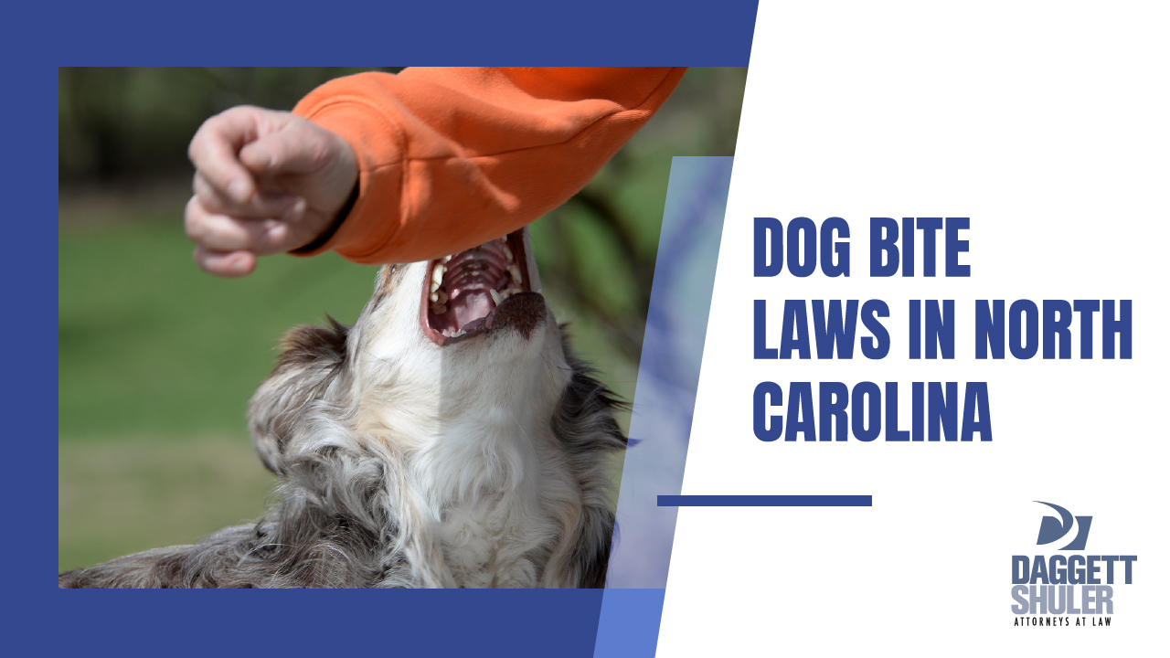 Dog Bite Laws in North Carolina